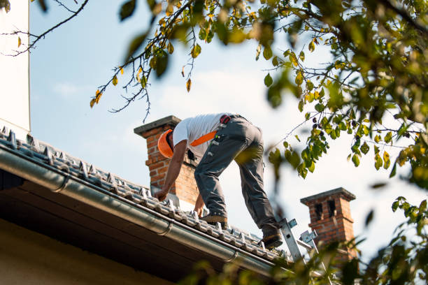 Quick and Trustworthy Emergency Roof Repair Services in Hays, MT